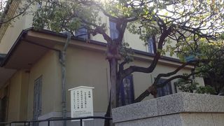 境内の梅の物語。