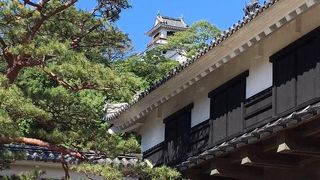 天守と本丸御殿が両方現存しているのは高知城のみといいます