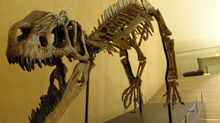 隠れた名所とも言える博物館です！