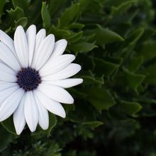 庭園の管理も素晴らしかった