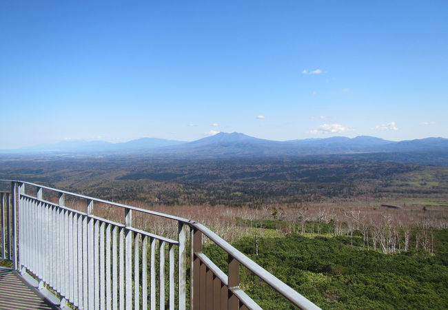 青いオホーツク海と屈斜路湖の狭間に、知床連山北麓の広大な樹海を眺めて