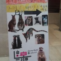 本当の猫カフェではないかも？