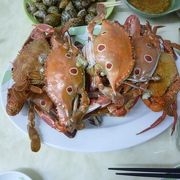 &#34485;仔寮漁港の蟹は激安で美味い、でも調理店がないので観光客には不向きかもしれません