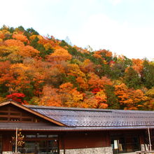 駐車場前は紅葉真っ盛り