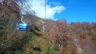 10月末(日)晴天は混雑してた