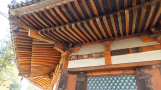 またしても国宝