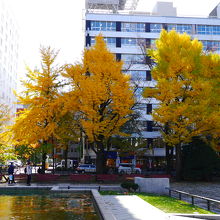 碑の周りは紅葉が始まっていました