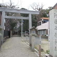 鳥居が続きます