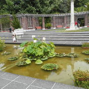 丘の上の植物園