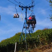 ライン川大蛇行だけではない楽しみ