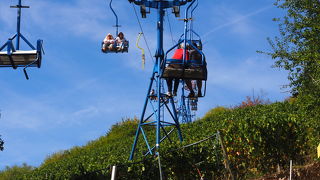 ライン川大蛇行だけではない楽しみ