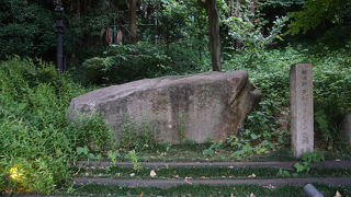 ラトゥールという大きなマンションのような建物の敷地内