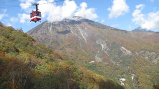 明智平展望台、繁忙期に価値があるかは本人次第