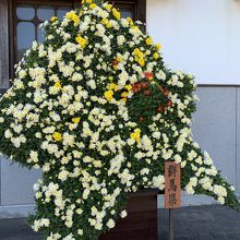 菊の群馬