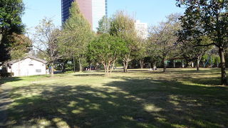 亀塚が残されています。