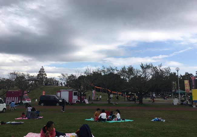 県営みさと公園 クチコミ アクセス 営業時間 三郷 吉川 フォートラベル 県営みさと公園 クチコミ アクセス 営業時間 三郷 吉川 フォートラベル