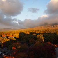 翌日早朝ホテルの庭を見ます。