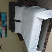 リビングのソファーベッドも広めのダブルベッド（クイーンかな）