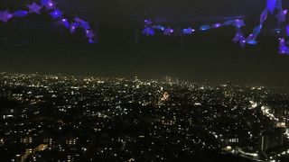 オーロラが写っているような夜景