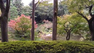 紅葉も進み始めています