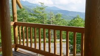 周囲の木々が育ちすぎていた。