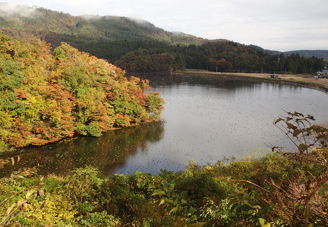 大山上池 大山下池 クチコミ アクセス 営業時間 鶴岡 フォートラベル 大山上池 大山下池 クチコミ アクセス 営業時間 鶴岡 フォートラベル