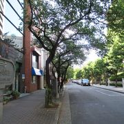 途中に太田姫稲荷神社がありほぼ平坦で綺麗な通りです