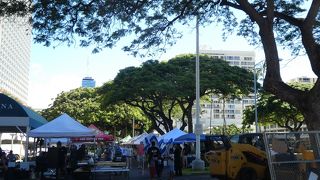 お買い物するならやっぱりここ