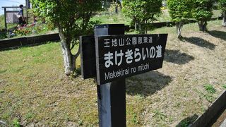 小さな山全体が公園