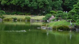 庭園の中心となる広い池