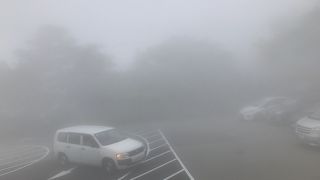 コンディション最悪