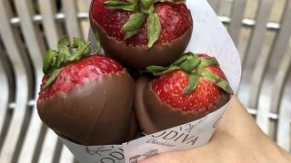 インターナショナルマーケットプレイス