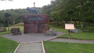 映画　南極物語の主人公