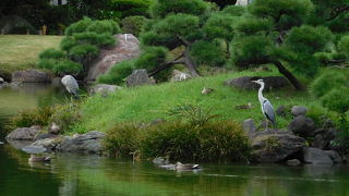 池を中心とした、回遊式林泉庭園