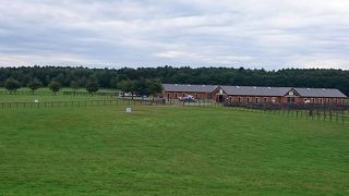 馬好き以外の方もおすすめです