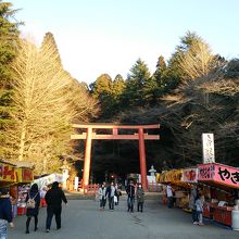 境内入口の鳥居まで参道が続く