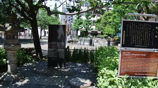 きれいに整備されています。