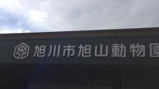 旭山動物園は中学生まで無料