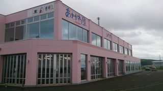 ノシャップ岬でお土産購入