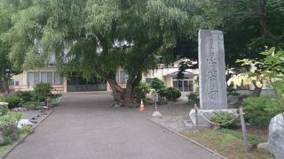 広い庭園があります