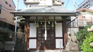 きれいにお掃除されていました。