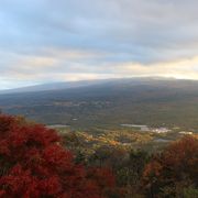 山道を登ったところにある古いレストハウス　展望台は２００円