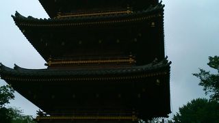 上野動物園の隠れた名スポットです。