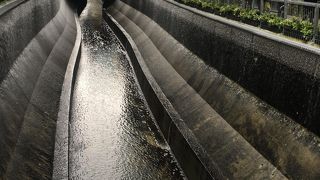 若干ドブ臭かったです。