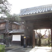 最高に絵になります