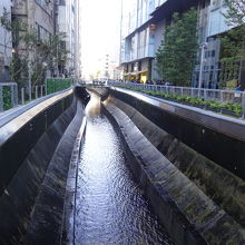 渋谷川の眺め