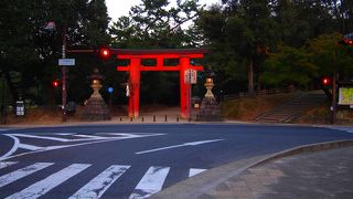 参拝は朝がいい