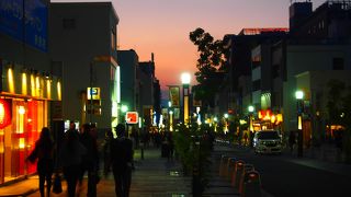 春日大社へ続く参道の様