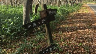 紅葉の綺麗な池ですね。
