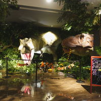 迫力あります。片方は動きます。